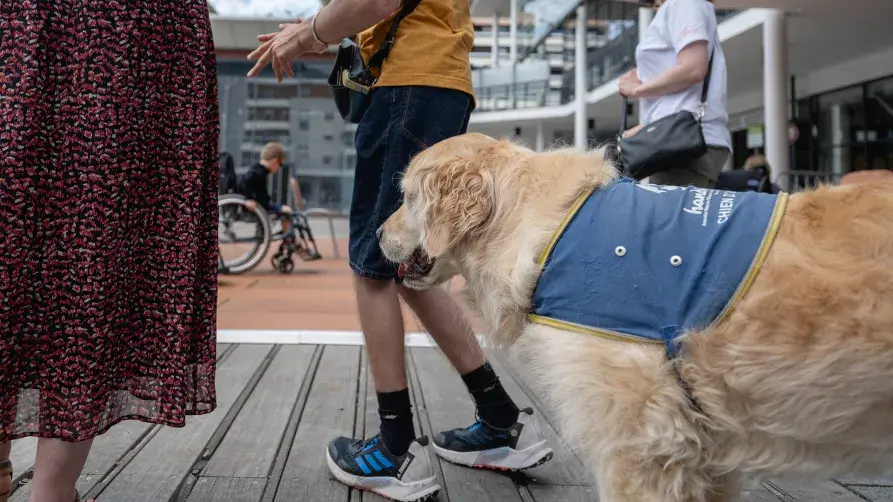Accessibilité pour tous